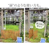 折り畳めるウッドフェンス160 2枚組 グレーホワイト ブラウン WF-160F-2P 木製フェンス ガーデニング ミニフェンス パーテーション 仕切り 花壇 囲い 折りたたみ 収納 脚のみ組立式 簡単設置 園芸 屋外 室内 通行禁止 折り畳み 天然木