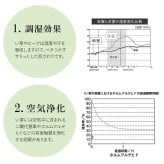 夏ラグ 夏用カーペット 日本製 国産 純国産 沖縄ビーグ ラグ い草 約191×191cm (裏:不織布）
