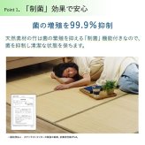 夏ラグ 夏用カーペット バンブー 竹 ラグ カーペット 裏地付き 天然素材 丈夫 抗菌防臭 消臭 お手入れ お掃除 簡単 冷感 冷たい 夏 ひんやり 約180×240cm