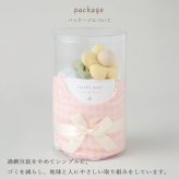 Lien de famille リヤンドファミーユ ギンガムチェックスタイとお花のラトル ベビーケーキ mini | おむつケーキ スタイ 日本製 Sサイズ おむつ よだれかけ ビブ おもちゃ