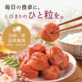 梅干し 紀州南高梅 つぶれ梅 1.7kg 850g×2パック 塩分約3% 減塩 はちみつ梅 蜂蜜 大粒 3L 4L 訳あり 紀州 和歌山県産 お徳用 果肉たっぷり ご飯のお供 ギフト