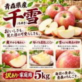青森県産 りんご 千雪（ちゆき） 訳あり 家庭用 5kg 15～23玉 送料無料