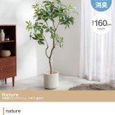 【高さ160cm】光触媒人工観葉植物 パキラ 曲がり 幅72cm×奥行50cm×高さ160cm オフィス 天然木 組立品 お部屋に気軽に飾れて空間を美しく彩るフェイクグリーン 本物の植物のようなリアルな質感とインテリアに馴染む風合いが魅力です