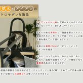 ラック 天然木製ハンガー 簡単組立 アンティーク モダン ナチュラル オイル ミッドセンチュリー ウッド スタイリッシュ シンプル シェルフ ハンガー インテリア 家具 天然 おしゃれ カフェ 北欧 木目 新生活