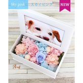 【動物病院 ペットサロン御用達】お供え 仏壇 仏花 四十九日 御供 仏花 法事 亡くなった お悔み花 プリザーブドフラワー 絵本 犬 猫 お悔やみ 贈り物 お供え ペット プリザ 仏花 プレゼント かわいい 写真立て フォト L版 花 アレンジメント ウサギ 線香 ろうそく 枯れない花 お悔やみ お盆の花 法要 3回忌 7回忌 メッセージ