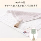 イニシャル刺繡入り今治タオルハンカチ　ジェットストリーム4色ボールペンセット  名入れ無料　包装無料　入学祝い 卒業祝い 就職祝い 退職 誕生日 母の日  年祝い 記念品
