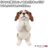 置物 woobia ウービア 犬 キャバリアキングチャールズスパニエル おねだりキャバリア 茶白 高さ22cm ブレンハイム リアル 本物そっくり イギリス生まれ 職人手彩色 縁起物 戌年 玄関 インテリア 新築祝い 引っ越し祝い 開店祝い 出産祝い 誕生日 お祝い ギフト プレゼント 犬好き