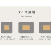 こたつ布団 正方形 撥水 静電気防止糸使用 掛け単品 約185×185cm (厚掛けタイプ) 静電気防止糸使用の 撥水こたつ布団 ポリエステル フランネル こたつ掛布団 こたつふとん コタツ掛け布団 コタツ掛布団 こたつ用品 冬用 冬物 寝具 寝室用品