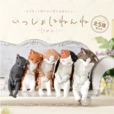【5種類セット】 ガチャ ガチャガチャ コンプリート 中身 フィギュア おもちゃ かわいい [ いっしょにねんね にゃんこ ] 猫 ネコ ロシアンブルー マンチカン スコティッシュ エキゾチック ノルウェージャン