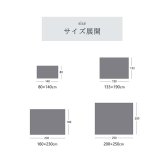 ラグ カーペット トルコ製 ウィルトン織 絨毯 長方形 リーフ柄 マルチ 約160×230cm