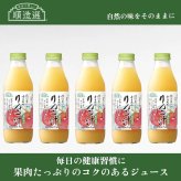 「身体に優しい」順造選ジュース 信州産「ふじ」すりおろしりんご汁 500ml×５本セット