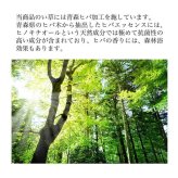 夏ラグ 夏用カーペット 堀こたつ 掘りごたつ 堀り 炬燵 い草 ラグ 敷 市松 くり抜き 付属 マジックテープ 連結 裏 不織布 約191×300cm（中抜き:約90×150cm）