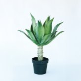観葉植物 造花 アガベ アテナータ BROWN 全高約70cm 卓上・小型 フェイクグリーン 本物そっくり おしゃれ インテリア 人工観葉植物 アーティフィシャルグリーン オフィス 店舗 ホテル 開店祝い 室内 ミニ 多肉植物 フェイク