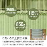 夏ラグ 夏用カーペット 純国産 い草 上敷き 上質ない草で作った カーペット 双目織 江戸間6畳(約261×352cm）
