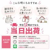  ≪ZIP! TVで紹介≫今治タオル2枚セット 子どもの絵 イラスト 似顔絵 タオル 父の日 母の日 敬老の日 ラッピング プレゼント 子どもの絵 似顔絵 ハンカチ 子供の絵 刺繍 ギフト 孫 名入れ 記念 刺しゅう ハンカチ 今治タオル 孫の絵