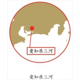 愛知三河木綿 ダブルガーゼ 肌布団 ブルー 寝具 日本製 ダブルガーゼ生地 プリント生地【北海道・沖縄県・離島 配送不可】