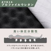 電動ベッド 介護 折り畳み マットレス付 リクライニングベッド 介護ベッド 折りたたみ 電動リクライニングベッド アイリスオーヤマ OTB-BDH-R *
