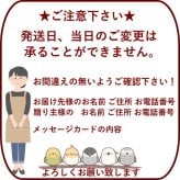 プリザーブドフラワーアレンジメント 【FairyBright】 花の妖精が住んでるような 華やかなアレンジメントプリザーブドフラワー 誕生日 花 華やか 高級感 プレゼント お礼 お祝い 本物 グリーン ギフト メッセージ 送料無料 お礼 プリザーブド プレゼント おしゃれ リビング インテリア 枯れない花 土日発送 母の日 敬老の日 お中元 お歳暮