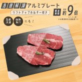 解凍プレート 急速解凍 カクセー 急速解凍アルミプレート リフトアップホルダー付き 最大約9倍 アルミプレート 自然解凍 電気不要 水不要 肉 魚 冷凍食品 食品解凍 粗熱取り 冷凍プレート 時短調理 薄型 キッチン便利グッズ 新生活 敬老の日 プレゼント ギフト
