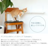 animacolle アニマコレ Catroad+  キャットステップ　ホワイト