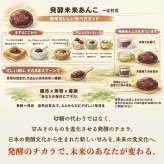 発酵あんこ 4種セット 砂糖不使用 人工甘味料不使用 無添加 140g×4個 食べ比べ 米麹 国産発酵16雑穀使用 プレーン ひよこ豆 ピーナッツ チョコレート 腸活 発酵食品 あずき ヘルシー 自然な甘み おやつ デザート トッピング ギフト プレゼント 手土産 BOX入り お中元