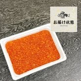 いくら 醤油漬け 500g 鱒子 アメリカ産 【ます子/イクラ/鱒いくら/いくら醤油漬】【お取り寄せ/グルメ/海鮮/ギフト/食べ物/贈答/プレゼント】