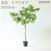 観葉植物 造花 ラデマキア BROWN 全高約235cm 大型 フェイクグリーン 高級 本物そっくり リアル おしゃれ インテリア 人工観葉植物 アーティフィシャルグリーン シンボルツリー オフィス 店舗 ホテル 開店祝い 室内 リビング 玄関 風水 ラデルマケラ