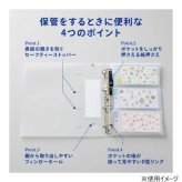 LIHIT LAB. myfa シールコレクションファイル L A4 フロストクリヤー F6621-1 バインダー 収納 ポケット リフィル付き シール帳 コレクション 整理 ファイル
