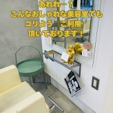 スマホスタンド おしゃれ 卓上 ゴリラ 置物 高さ18cm 動物 黒 金 グッズ 金色 アニマル オブジェ 縁起物 豪華 プレゼント ギフト かわいい  リアル おもしろインテリア スマホホルダー デスク ガーデンオーナメント 玄関 雑貨 写真立て メニュー立て 面白い ゴールド woobia
