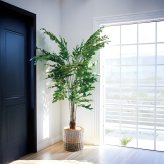 観葉植物 造花 クジャクヤシ BROWN 全高約210cm 大型 フェイクグリーン 高級 本物そっくり リアル おしゃれ インテリア 人工観葉植物 アーティフィシャルグリーン オフィス 店舗 ホテル 開店祝い 室内 リビング 玄関 風水 ヤシの木 フィッシュテールパーム