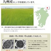 夏ラグ 夏用カーペット 純国産 い草 上敷き カーペット 糸引織 『湯沢』 江戸間3畳(約176×261cm）