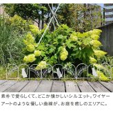 アイアンフェンス ミニ 猫 10枚組 ブ ホワイト NK7238-10P ミニフェンス ガーデニングフェンス ガーデンフェンス 挿すだけ 小型フェンス ネコ パーテーション 仕切り 境界 境目 花壇 家庭菜園 プランター ベランダ 園芸 ブラック 屋外