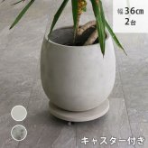 ガーデン エクステリア セメント製キャスター付きプランターキャリー36cm 2台組 TR360-2P 直径36 スタンド フラワースタンド ベース キャスター 台車 鉢置き 花台 プランター おしゃれ インテリア 室内 ベランダ 新生活