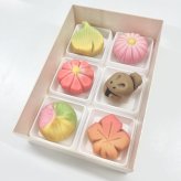 【京銘菓 雅】生菓子6個入 /練り切り/茶菓子/プレゼント/誕生日/御祝/和菓子/可愛い和菓子/アニマル和菓子／夏の和菓子/冠婚葬祭/お中元/暑中見舞い
