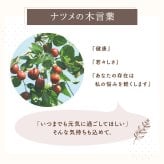 【 送料無料 】【 名入れ なつめの ロックカップ 】 木製 コップ コーヒーカップ グラス 酒器 おしゃれ かわいい 名前入り 名入り ギフト 誕生日プレゼント 男性 女性 母 父 祖父 祖母 退職祝い 還暦祝い 古希祝い 長寿祝い 木婚式 記念品 おすすめ 贈り物 お祝い