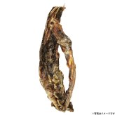 アフタヌーングー AFTERNOON GU 鹿の胸骨 国産 犬用おやつ 130g
