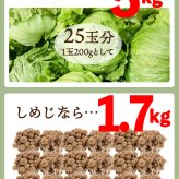 無添加 すごいねばねばグリーンポタージュダイエットスープ12食