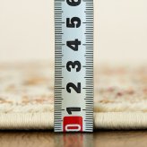 ラグ カーペット 玄関 屋内 屋外 輸 入 ネカル アイボリー 約50×80cm 長方形 民族調 エスニック モダン シンプル オールシーズン 丈夫 50×80cm ルカス ベージュ 新生活
