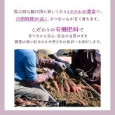 静岡県産 さつまいも 紅はるか 【内容量が選べる1kg~10kg】雑穀米本舗  送料無料 スイーツ 生芋 生 サツマイモ べにはるか 甘い 美味しい 産地直送 ギフト プレゼント