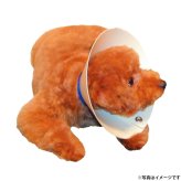 現代製薬 アニマルコレット エリザベスカラー S ブルー