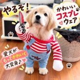 犬服 ハロウィン コスプレ 犬用 コスチューム ホラー チャッキー風 仮装 衣装 ナイフ付き かわいい おもしろ ペット服 小型犬 中型犬 柴犬 トイプードル ビションフリーゼ 写真撮影 SNS映え パーティー XS S M L XL