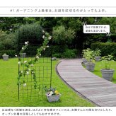ガーデン エクステリア アイアンフェンス 高さ226 「グラフ」 1枚 フェンス アイアン ガーデニング 枠 柵 仕切り 目隠し 境目 クラシカル アンティーク 格子 ベランダ つる 薔薇 バラ 朝顔 園芸 ラティス つるバラ 庭誘引 屋外 新生活