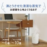 象印 スチーム式加湿器 EE-RV35 フィルター不要 お手入れ簡単 2.2L 自動加湿3段階【2026年モデル】　【ラッピング無料 誕生日 お祝い プレゼント ギフト 贈り物】【送料無料】