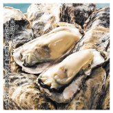 【白箱入】200ml×2 T-HN 手土産にもぴったり 嬉しい詰合せ しょうゆ 醤油 だし醤油 醤油 ポン酢 調味料 ギフト 御中元 御歳暮 御年賀 粗品 御礼 内祝 寿 御祝 結婚内祝 出産内祝 快気内祝 御挨拶 お誕生日 父の日 母の日 敬老の日 暑中御見舞 残暑御見舞 調味料