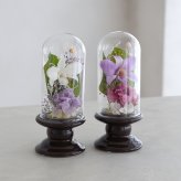 プリザーブドフラワー お供え花 ガラスドーム仏花 蘭音 -らんね-｜お供え デンファレ 蘭 小さい仏花 小ぶり 対 対飾り 仏壇用 初盆 新盆 四十九日 一回忌 三回忌 法事 法要 お供え お悔やみ お彼岸 即日発送 プレゼント ギフト 送料無料