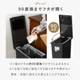 ゴミ箱 トラッシュカン 45L 東谷 LFS-861  蓋付き ダストボックス ペダル式 プッシュ式 2WAY開閉 スリム 大容量 分別 ごみ箱 キッチン リビング おむつ ペット 犬 猫 子供 ニオイ対策 石目調 おしゃれ 北欧 韓国インテリア ブラック グレー シンプル インテリア 新生活 引っ越し