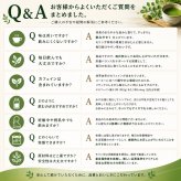 【モリンガ×抹茶】SAEMON's モリンガ抹茶プラス 200g スーパーフード モリンガ 粉末 国産抹茶 90種以上の栄養素 GABA ポリフェノール 食物繊維 美容 健康 朝食置き換え プロテイン スムージー ギフト