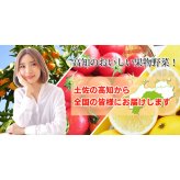 【仁井田米産直】 仁井田米 令和7年産 幻の香る米 香米 100% 窪川 四万十町 高知産 お米 5kg ブランド米 香り米 にいだまい こめ コメ 5キロ 国産 国内産 精米 米 白米 ごはん おにぎり 精米したてを産直します 産地直送【送料無料】[ヤマト発送]