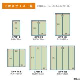 夏ラグ 夏用カーペット い草 上敷き カーペット 制菌 抗菌防臭 消臭 小林製薬KOBA-GUARD 江戸間4.5畳(約261×261cm）