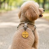 犬 メッセージタグ イエローリボン 散歩 お散歩タグ オリジナル 犬用タグ 迷子札 大きめ 本革 栃木レザー 軽量 散歩タグ 革 レザー 愛犬の気持ちを伝える こわがり 臆病 人が苦手 よく吠える 音が苦手 名入れ